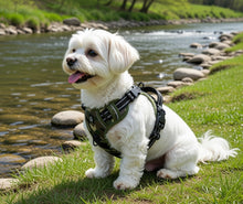 Afbeelding in Gallery-weergave laden, Anti-Trek Hondenharnas – Comfort & Controle