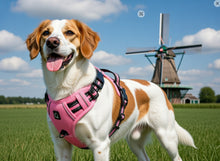 Afbeelding in Gallery-weergave laden, Anti-Trek Hondenharnas – Comfort & Controle