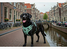 Afbeelding in Gallery-weergave laden, Anti-Trek Hondenharnas – Comfort & Controle