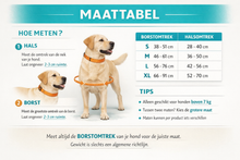Afbeelding in Gallery-weergave laden, Anti-Trek Hondenharnas – Comfort & Controle
