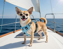 Afbeelding in Gallery-weergave laden, Anti-Trek Hondenharnas – Comfort &amp; Controle
