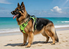 Afbeelding in Gallery-weergave laden, Anti-Trek Hondenharnas – Comfort &amp; Controle
